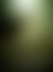 I Bet You Didn’t See… Minuscule: Valley of the Lost Ants