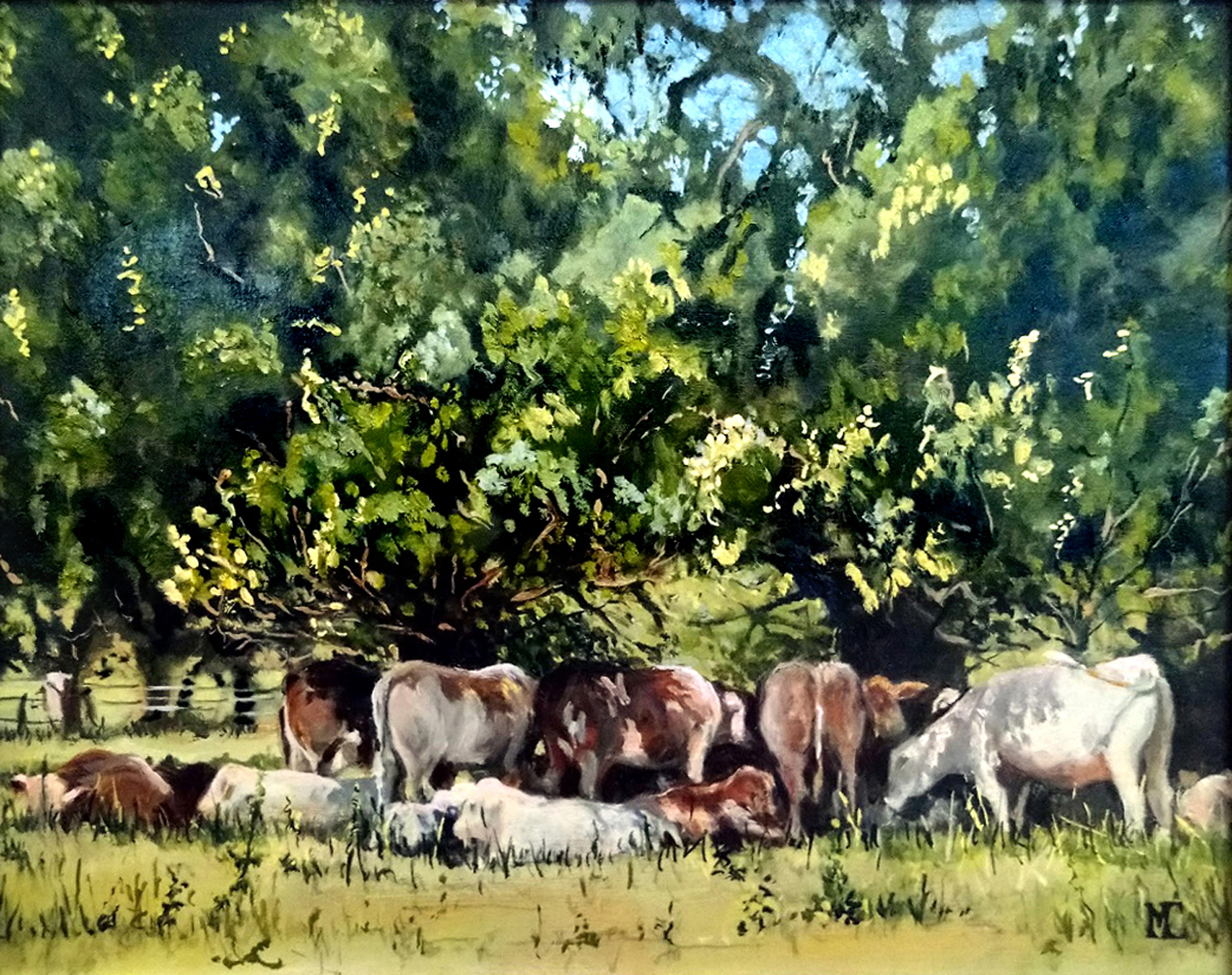 Dappled Shade
