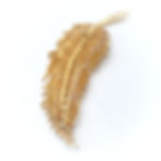 Vintage Monet Feather Brooch