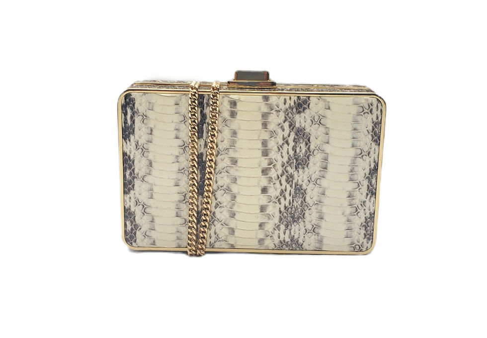 Michael Kors Snakeskin Evening Bag box purse