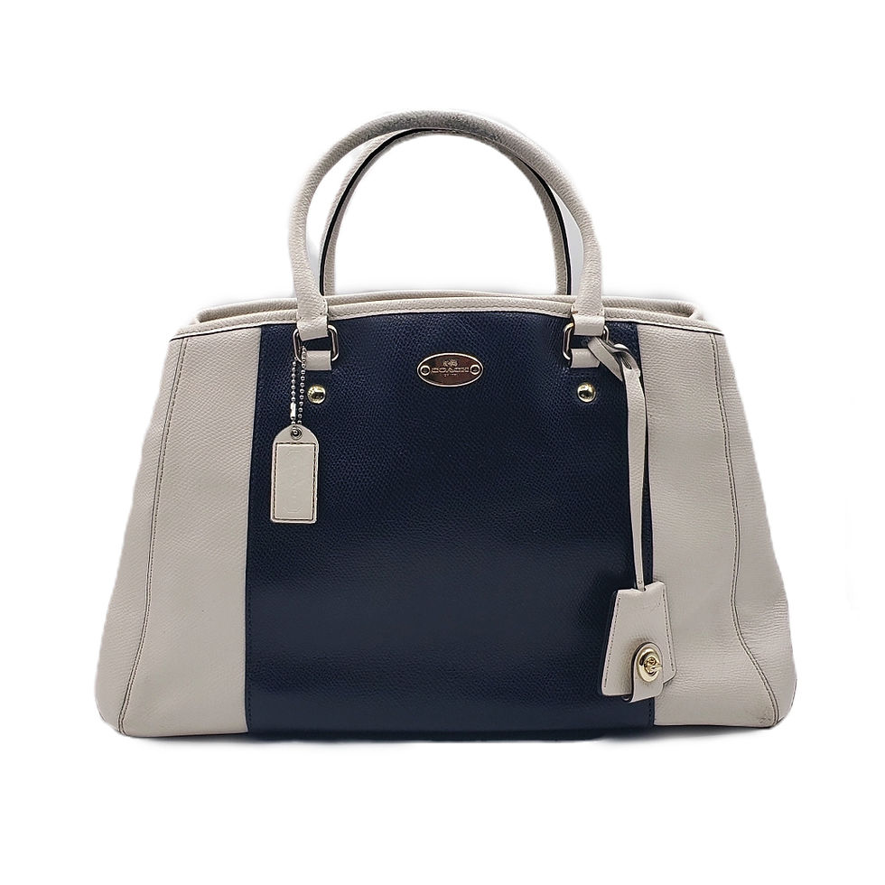 Coach Margot Carryall Bicolor Leather Crossbody Bag Midnight & Chalk