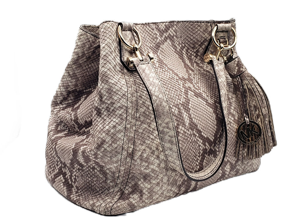 Michael Kors Frances Snake Embossed Bag