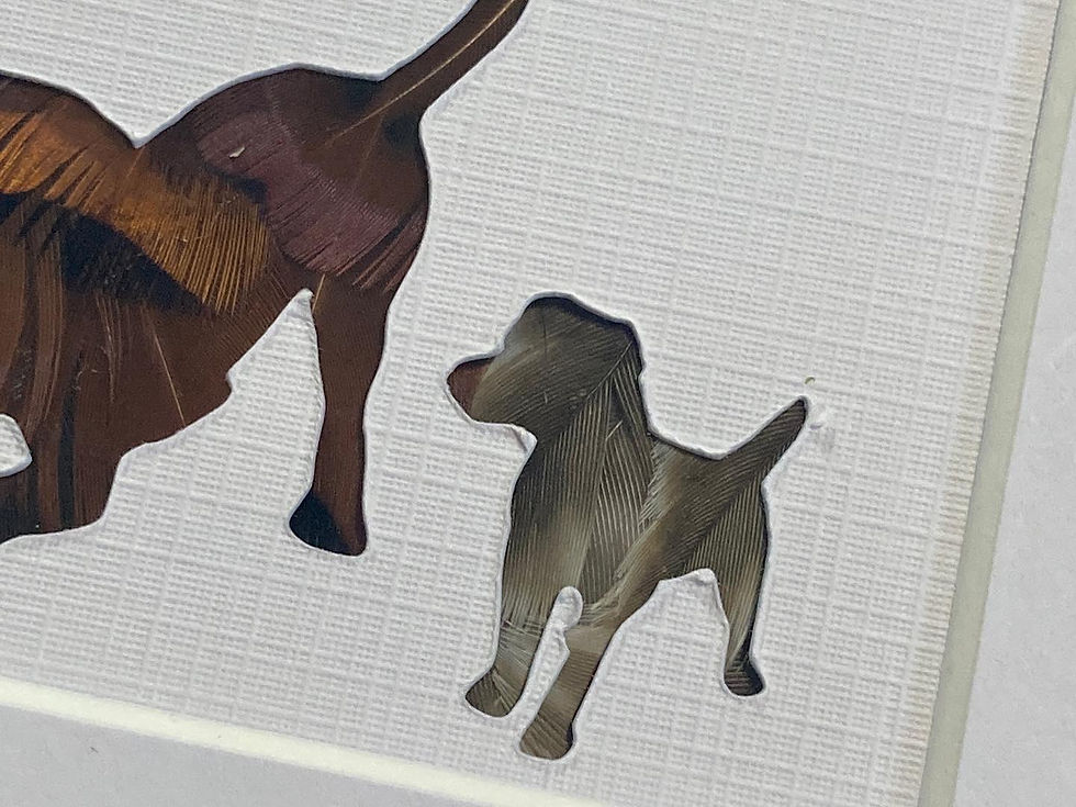 Thumbnail: Man and Dogs