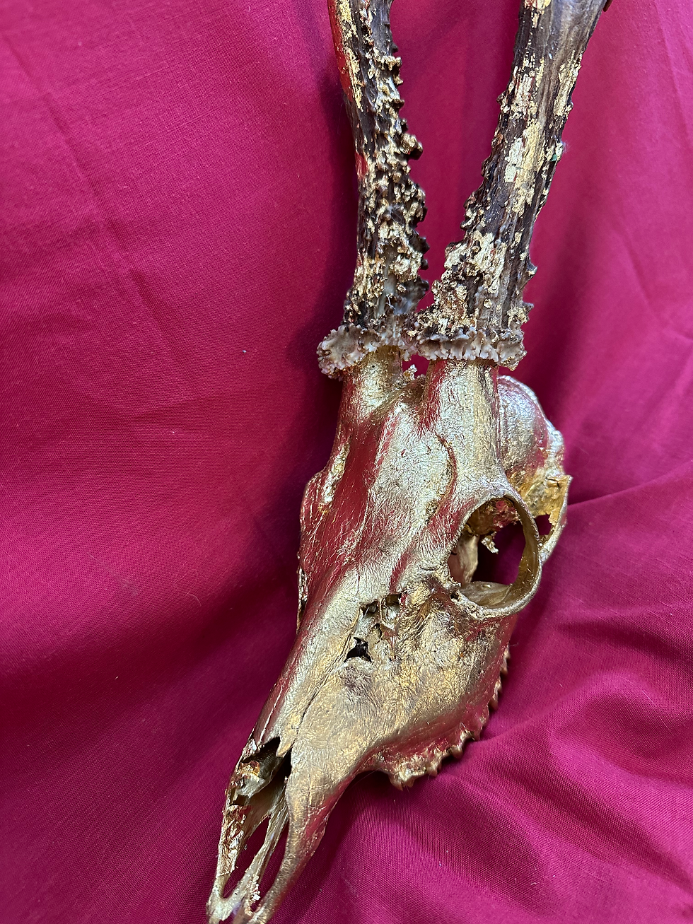 Thumbnail: Gold Stags Head