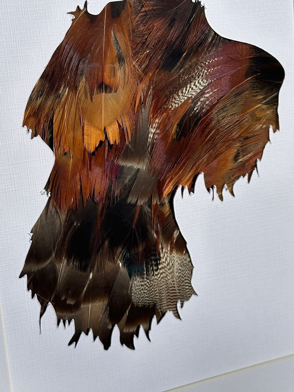 Thumbnail: German Wired Haired Pointer Head