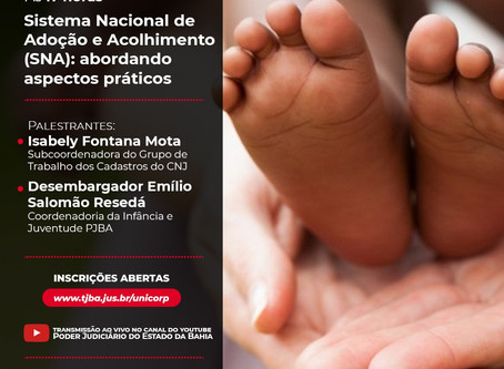 Sistema Nacional de Adoção e Acolhimento - SNA
