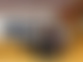 Oficina de articulação NAE/VIJ e Conselhos Tutelares 