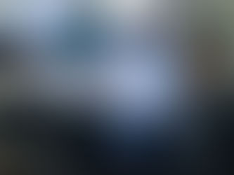 Inspeção e Reunião Prévia no Serviço Família Acolhedora