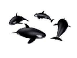 picmix.com_1622759.gif