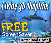 dolphins.gif