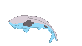 1000058314.gif