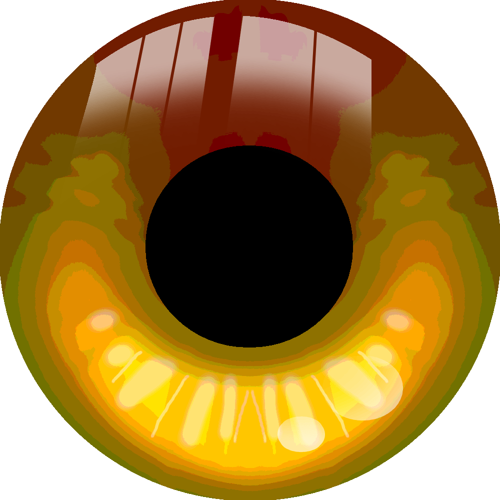 gold eye blink normal.gif