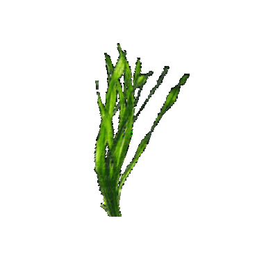 3dgifmaker95282.gif
