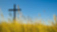 Big-cross-on-summery-meadow_edited.jpg