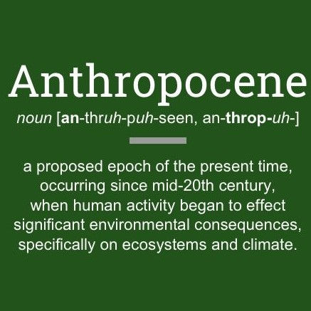 Week19 : Anthropocene