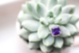 image1 (3).jpeg