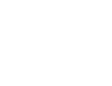 白い鳥