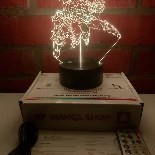 Lampe 3D LED - BARDOCK X GOKU - DBZ - dos