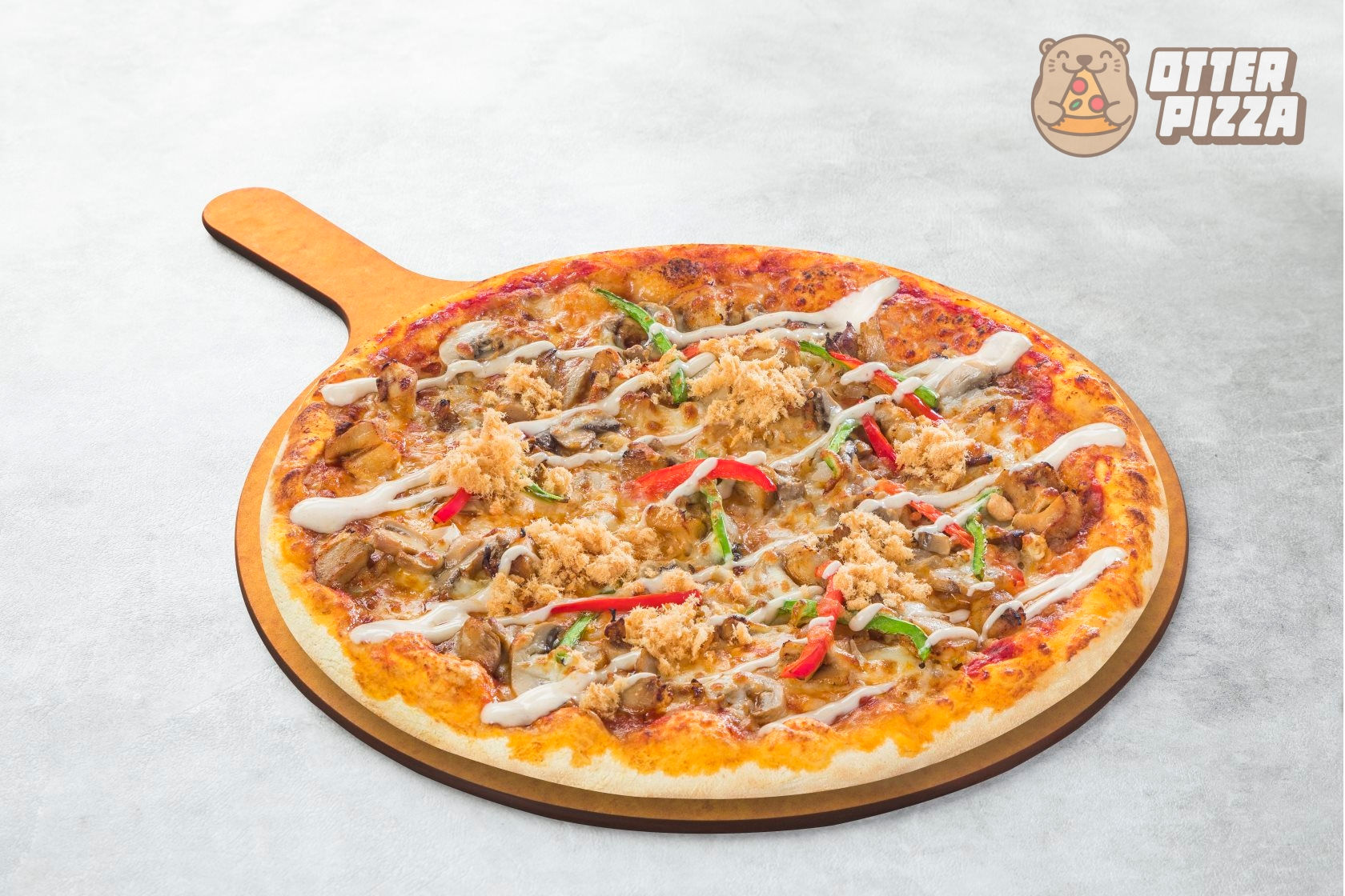 205 FLOSSY BBQ CHICKEN 12"