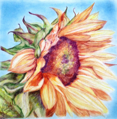 Radiant Sunflower
