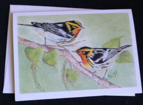 Colorful Warblers