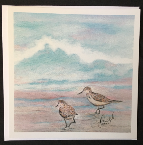 Sandpipers