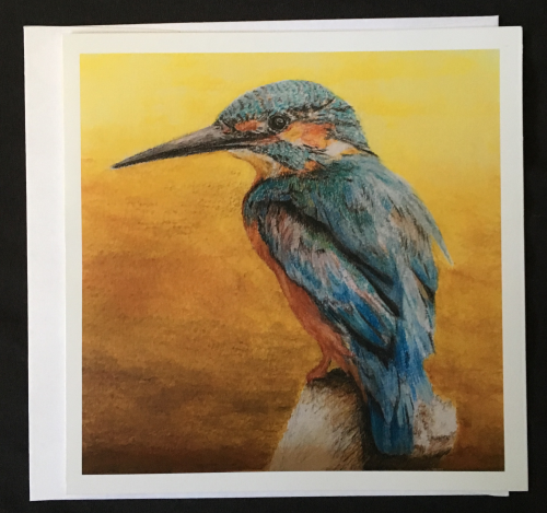 Beautiful Kingfisher