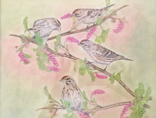 Four Sparrows