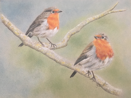Two Robins