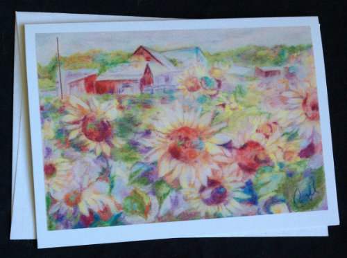 Sunflower Fields