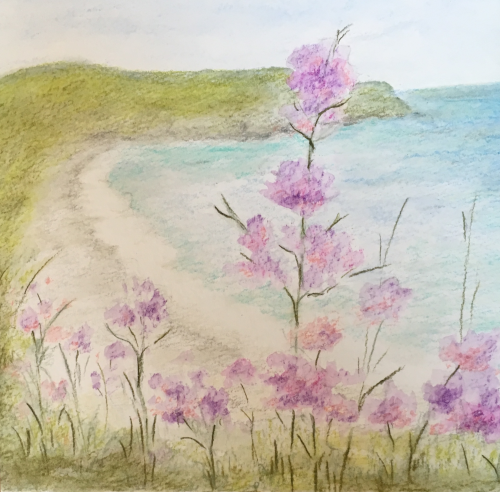Picturesque Coast
