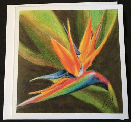 Bird of Paradise