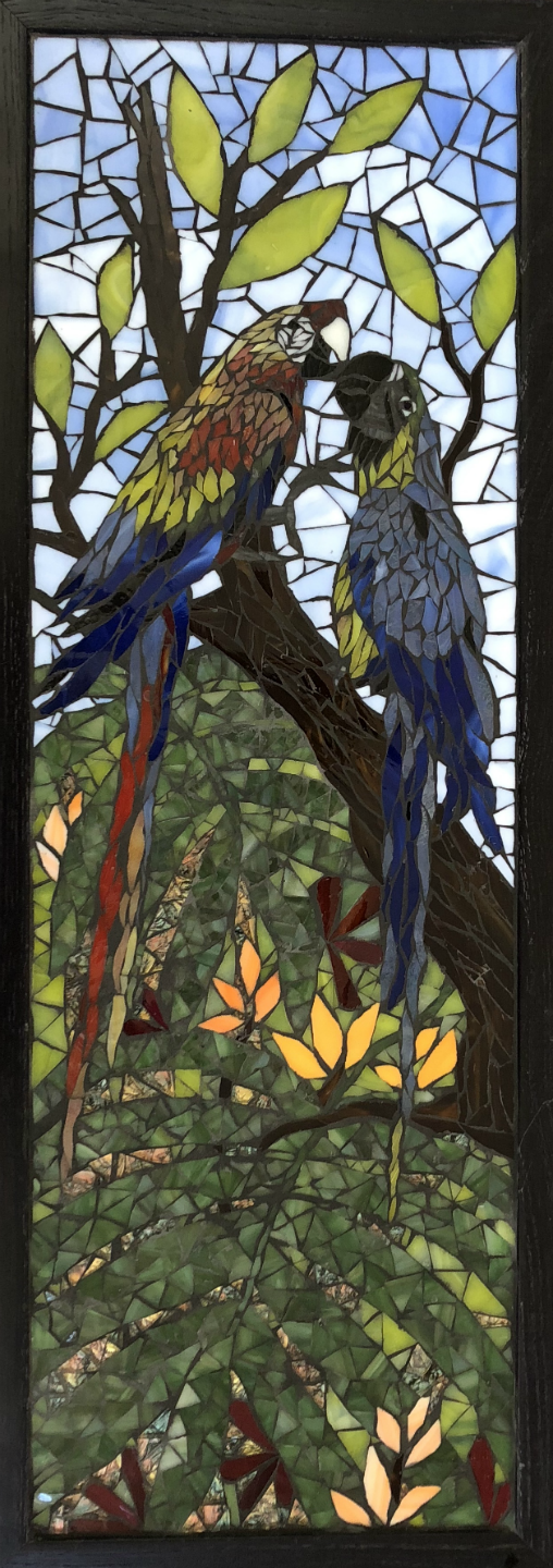 Two Macaws