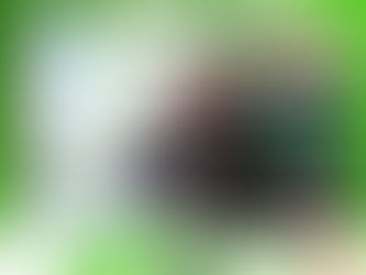 【魯人言：拆解政綱（四）│投票支持│24號林筱魯✅】