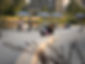 SF WaterlooPark 2200.jpg