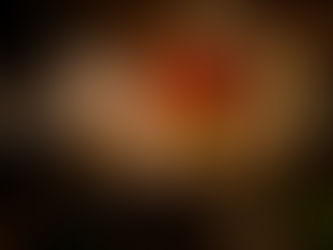 Sacred Growth in Broken Soil