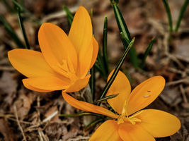 When Hope Breaks Through