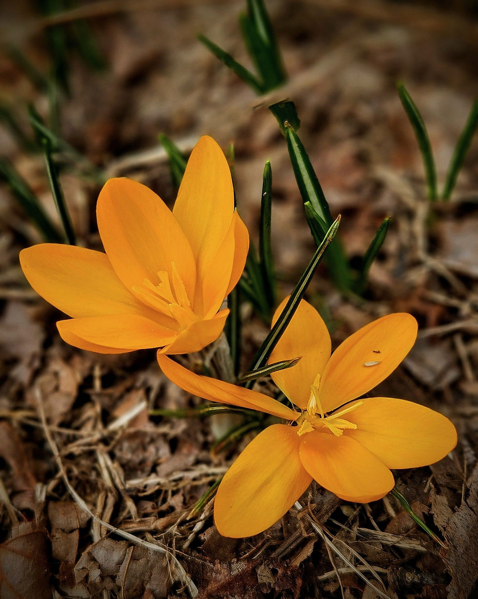 When Hope Breaks Through