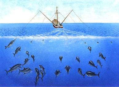 Tipos de pesca de bonito 02.jpg