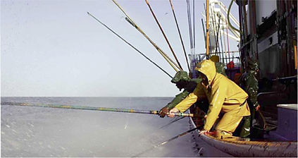 Tipos de pesca de bonito 01.jpg