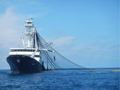 Tipos de pesca de bonito 05.jpg