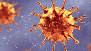 Nova variante BA.3.2 é detectada em 23 países e acende alerta por alto escape imunológico