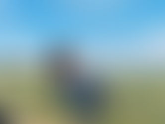 Legislação brasileira impede cobertura de translado do corpo da turista Juliane Marins