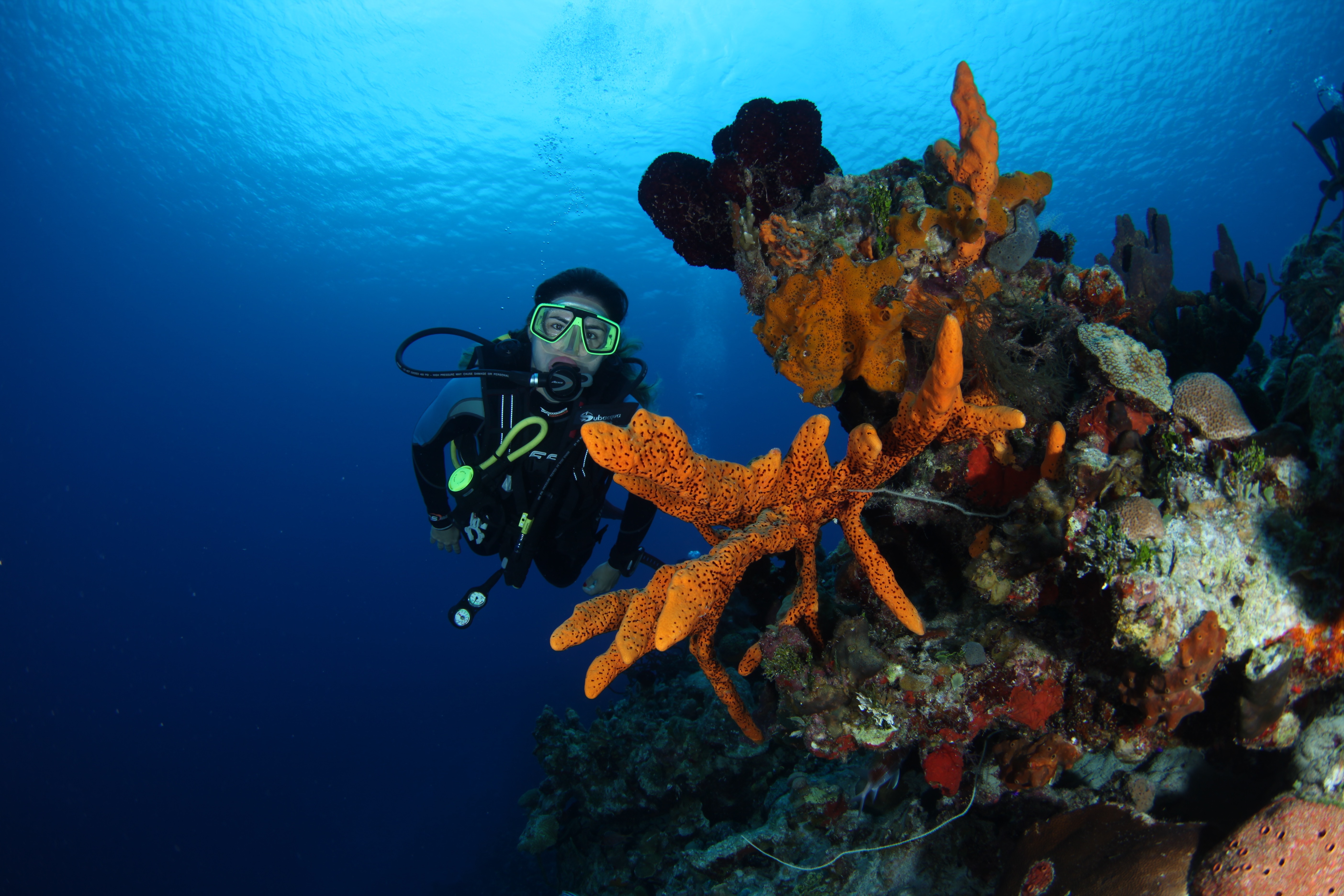Diving Excursions Cuba Atlantis Varadero