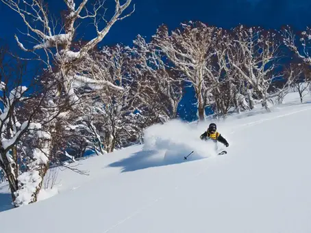 Skier au Japon sur l’île d’Hokkaido