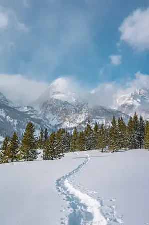 Traces de skis sur une piste enneigée à Jackson Hole.