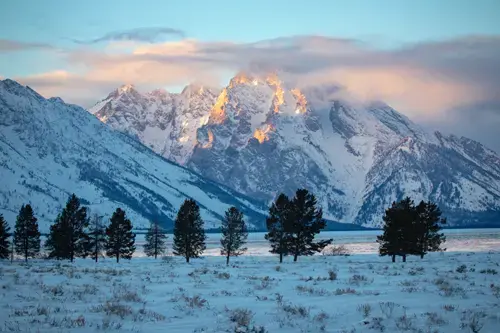 Paysage montagneux de jackson Hole en hiver.