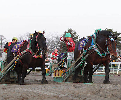 640px-2010_obihiro_daijin(1).jpg