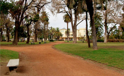 encuentro-por-el-20-aniversario-de-la-mt