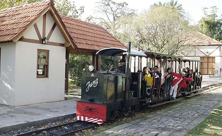 tren para prensa2.jpg